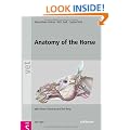 Anatomy of the Horse: with Aaron Horowitz and Rolf Berg