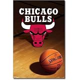 Chicago Bulls (Logo, Basketball) Sports Poster Print - 22x34