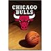 Chicago Bulls (Logo, Basketball) Sports Poster Print - 22x34