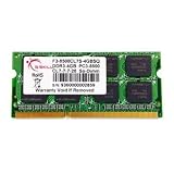 G.Skill PC3-8500 Arbeitsspeicher 4GB (1066 MHz, 240-polig) DDR3-RAM Kit