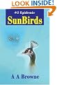 Epidemic (Sunbirds)
