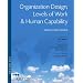 Organization Design