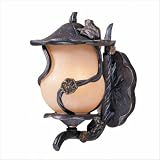 Froggie Outdoor Wall Lantern in Weathered Bronze Size: Small