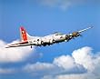 B-17 (In Air) Art Poster Print - 16x20