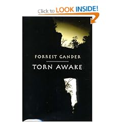 Torn Awake