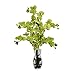 Nearly Natural Phalaenopsis with Vase Silk Flower Arrangement Green