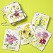 eeBoo Fairies/Garden Alphabet WC