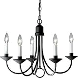 Black 16 Candle Light Chandelier