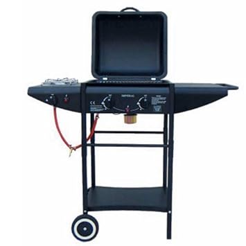 barbecue en pierre amazon