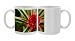 Photo Mugs of Central America, from Danita Delimont