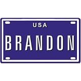 BRANDON USA BIKE LICENSE PLATE. OVER 400 NAMES AVAILABLE. TYPE IN NAME" USA PLATE IN SEARCH. YOUR NAME WILL SHOW UP."