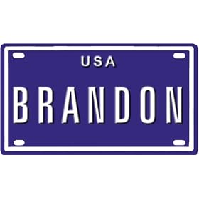 Brandon USA mini metal embossed license plate name for bikes, tricycles, wagons, kids doors, golf carts, baby strollers, pedal cars. Over 400 names available. Type in 