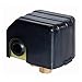 ProPlumber Plastic/Steel Pressure Switch