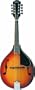 Washburn A Style Mandolin (Spruce, Maple, and Rosewood)