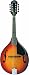 Washburn A Style Mandolin (Spruce, Maple, and Rosewood)
