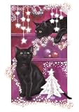 Stars of Wonder Black Cats Christmas Card Pack