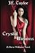 Crystal Illusions: A Steve Williams Novel (Volume 5) Image of Crystal Illusions: A Steve Williams Novel (Volume 5)