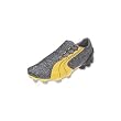 Puma v1.06 i FG