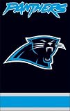 AFCP Panthers 44x28 Applique Banner