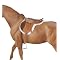 Horse stuff  you MUST get for  your kids