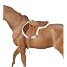 Devon English Hunt Seat Saddle - Brown�