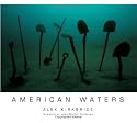 American Waters