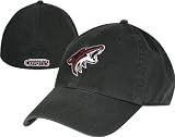 Phoenix Coyotes '47 Brand Franchise Fitted Hat