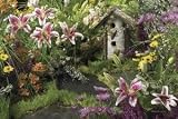 Outdoor Living : Birdhouse & Flowers Floormat