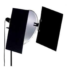 ALZO Barndoors Clip-On 16 - 2 vanes