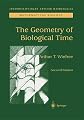 The Geometry of Biological Time