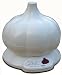 Kitchen & Housewares : Tagco Roasted Garlic Express Electric Roaster - WHITE