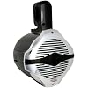 Boss Audio MRWT65 Two-Way 6.5-Inch Waketower Speaker System (Single)