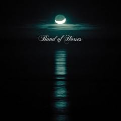 Cease to Begin [Vinyl LP]