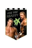 Ibergift - WWE Fanion DX Are You Ready 13 x 20 cm