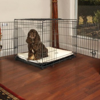 petco training crate