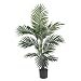5 Ft Kentia Palm Silk Tree