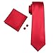 Hi-Tie Classic Necktie Set Solid Color Silk Ties for Men