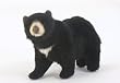 Black Bear Limited Edition Plush Toy in Clear Box By Hansa