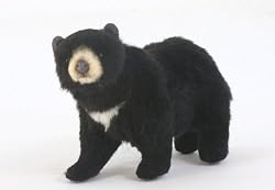 Black Bear Limited Edition Plush Toy in Clear Box By Hansa