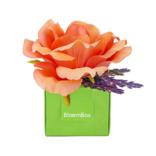 BloemBox Organic Rose & Lavender Sachet - Coral Beauty