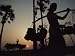 Toddy Collectors Catching Palm Sap Used for Making Jaggery, An Unrefined Brown Sugar Photographic Poster Print by James L. Stanfield, 30x40