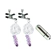 California Exotics / Swedish Erotica Crystal Nipple Clamps Purple Body Adornments Adult Sex Toy Kit
