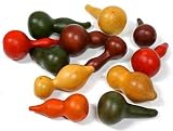 Package of 12 Assorted Natural Dried Autumn Gourds