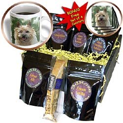 Dogs Cairn Terrier - Cairn Terrier - Coffee Gift Baskets - Coffee Gift Basket