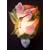 Hummingbird & Trumpet Vine Night Light Ibis & Orchid Flowers of Light