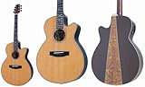TAKAMINE Cooder TCP-600CA/NS/Zbgt GARM^[