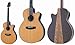 TAKAMINE Cooder TCP-600CA/NS/Zbgt GARM^[