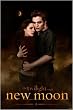 The Twilight Saga: New Moon - Movie Poster (Edward & Bella / Embrace) (Size: 24" x 36")