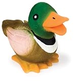 Latex Duck Junior - Multi Color