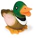 Latex Duck Junior - Multi Color